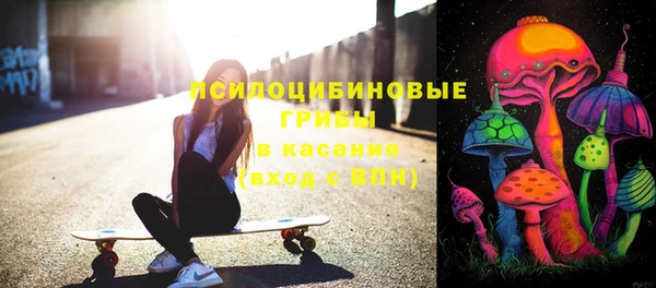 бошки Алзамай