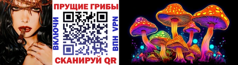 Псилоцибиновые грибы мицелий  наркотики  Новоаннинский 